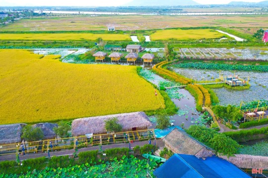 Phường Trần Phú Okking corn Thể thao, Esports, Casino, Xổ số, Game bài nông nghiệp đô thị theo hướng Okking 50.com Trang chủ đăng nhập cao 