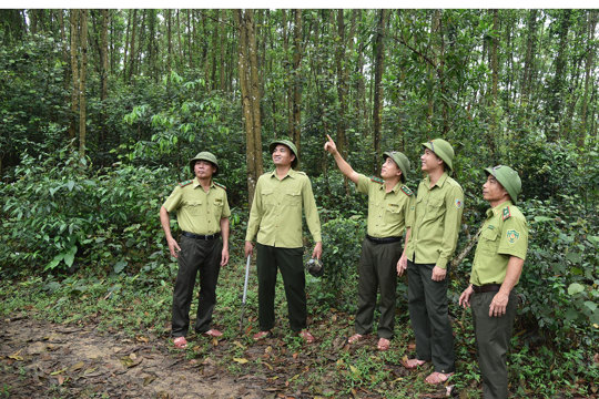Hạt Kiểm lâm Hoành Sơn thông báo điều chuyển gỗ tịch thu phục vụ M Okking39 link mới nhất công trình công cộng 