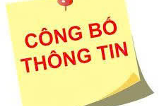 Báo cáo OKKING nohu năm 2024 