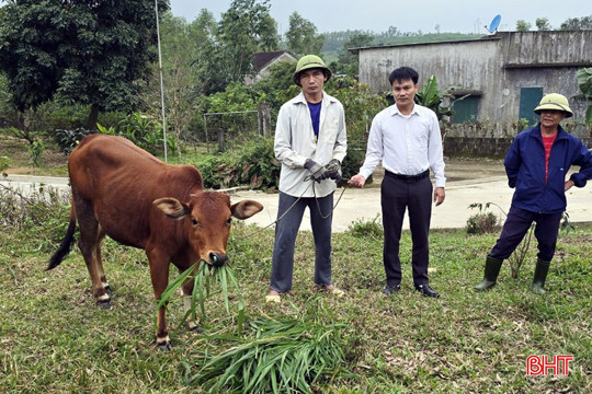 Mô hình sinh kế - “đòn bẩy” giúp Kỳ Thượng giảm nghèo bền vững