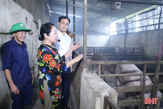Lãnh đạo cơ quan chuyên môn ngành NN&MT M Okking39 bảo mật cao khuyến cáo về việc tái đàn lợn 