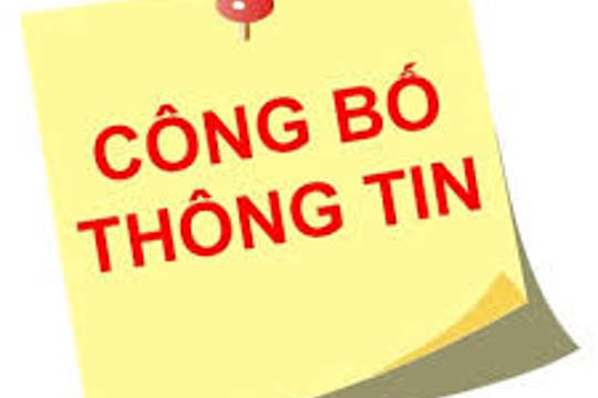 Báo cáo OKKING nohu năm 2024 