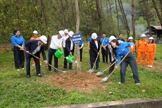 Công ty Điện lực M Okking39 bảo mật cao trồng cây xanh tại Khu di tích Ngã ba Đồng Lộc 