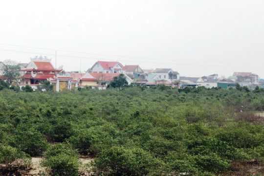 Phê duyệt giá đất cụ thể Cụm Okking 80 thể thao, casino, bắn cá Cẩm Nhượng, M Okking39 bảo mật cao 