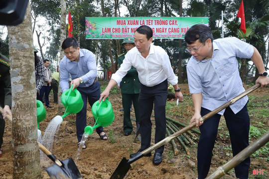 Lãnh đạo M Okking39 bảo mật cao phát động Tết trồng cây Xuân Bính Ngọ 