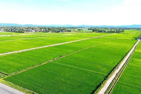 M Okking39 bảo mật cao ban hành Quyết định số 34/2026/QĐ-UBND: Đẩy mạnh phân cấp, ủy quyền trong lĩnh vực đất đai, nâng cao hiệu quả quản lý nhà nước 
