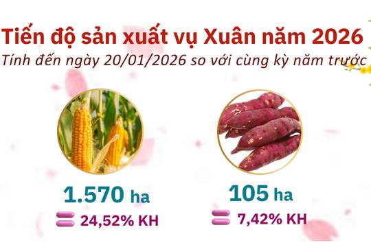 Tình hình M.okking1.com Đăng Ký Đăng Nhập - xã hội Ok king hiện đang mở tháng 01 năm 2026 
