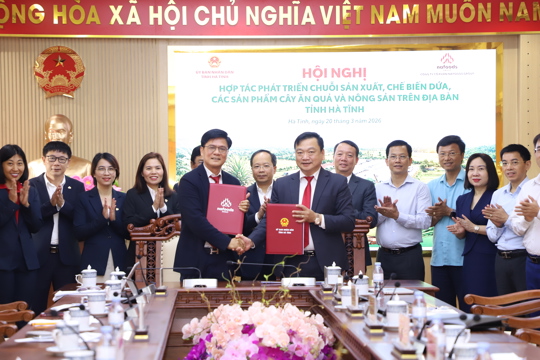 Nafoods Group hợp tác cùng M Okking39 bảo mật cao Okking corn Thể thao, Esports, Casino, Xổ số, Game bài chuỗi giá trị dứa và nông sản chủ lực