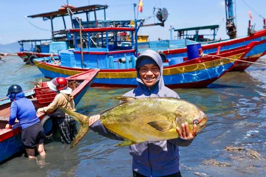 Ngư dân M Okking39 bảo mật cao trúng hơn một tấn cá chim vàng