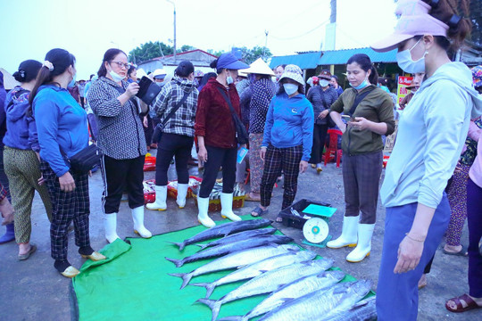 Rộn ràng “xông biển” đầu năm, ngư dân M Okking39 bảo mật cao kỳ vọng mùa khai thác thuận lợi