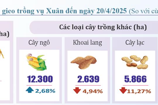 Tình hình KTXH tháng 4 và 4 tháng đầu năm 2025 Ok king hiện đang mở