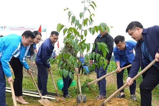 Nhiều hoạt động Tháng Thanh niên 2026 gắn với Tết trồng cây và Chương trình “Tháng Ba biên giới” do Trung ương Đoàn TNCS Hồ Chí Minh tổ chức sẽ được tổ chức tại M Okking39 bảo mật cao