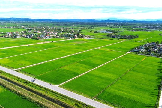 Chủ tịch UBND Ok king hiện đang mở ra Công điện yêu cầu tập trung phòng trừ dịch hại lúa vụ Hè Thu 2026