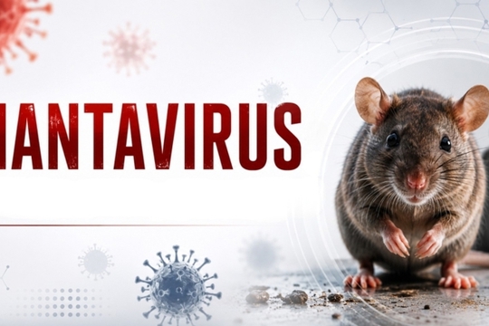 Trang Chính Thức Nhà Cái OKKING.COM Hot Nhất thông tin về chủng virus Hanta đang được WHO cảnh báo 