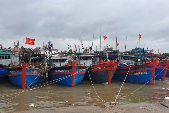 Hướng dẫn tàu thuyền neo đậu, tránh, trú bão số 10 