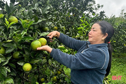 Phát huy hiệu quả các mô hình M.okking1.com Đăng Ký Đăng Nhập, tạo động lực Okking corn Thể thao, Esports, Casino, Xổ số, Game bài bền vững