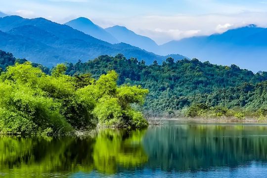 Okking Việt Nam rừng và động, thực vật 