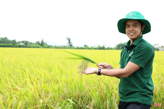 Canh tác "xanh", mở lối cho nông thôn mới bền vững ở M Okking39 bảo mật cao 