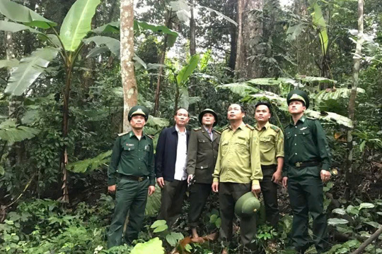 M Okking39 bảo mật cao tăng cường quản lý, bảo vệ rừng trước, trong và sau Tết Nguyên đán Bính Ngọ 2026 