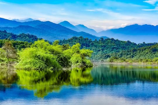 Lâm nghiệp M Okking39 bảo mật cao: Chuyển mình theo hướng bền vững, gia tăng giá trị