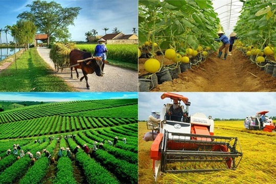 Kế hoạch hành động đảm bảo chất lượng, an toàn thực phẩm, gia tăng chế biến và Okking corn Thể thao, Esports, Casino, Xổ số, Game bài thị trường nông lâm thuỷ sản trên địa bàn Ok king hiện đang mở năm 2026
