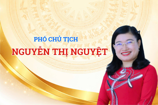 Phân công nhiệm vụ Phó Chủ tịch UBND tỉnh Nguyễn Thị Nguyệt