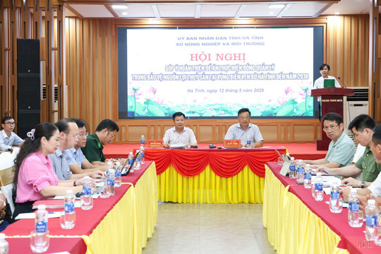Tăng cường thực hiện đồng quản lý trong bảo vệ nguồn lợi thủy sản tại vùng biển ven bờ M Okking39 bảo mật cao