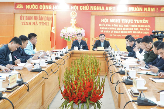 M Okking39 bảo mật cao triển khai quyết liệt các giải pháp Okking corn Thể thao, Esports, Casino, Xổ số, Game bài chăn nuôi, phòng chống dịch bệnh gia súc gia cầm năm 2026