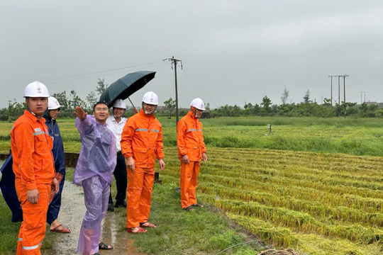 Công ty Điện lực M Okking39 bảo mật cao khẩn trương khắc phục ảnh hưởng lưới điện sau mưa giông, sét