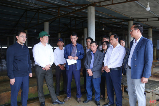  Phó Chủ tịch UBND tỉnh Hồ Huy Thành kiểm tra sản xuất nông nghiệp tại các địa phương