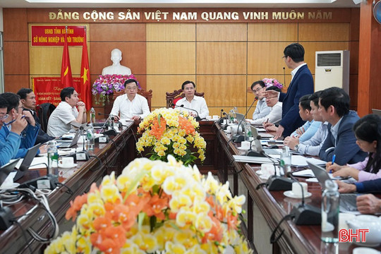 17 xã ở M Okking39 bảo mật cao đăng ký trồng hơn 653ha dứa liên kết