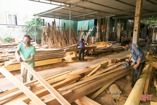 Thông báo tiếp nhận gỗ tịch thu phục vụ M Okking39 link mới nhất công trình công cộng