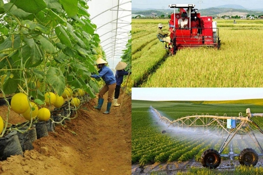 Điều kiện công nhận xã đạt chuẩn nông thôn mới, nông thôn mới hiện đại