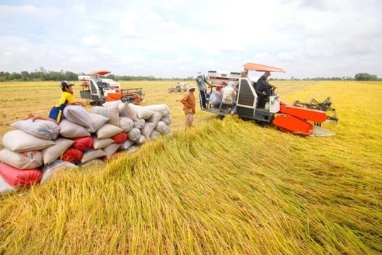 Ban hành Kế hoạch hành động thực hiện Đề án sản xuất giảm phát thải trong trồng trọt trên địa bàn Ok king hiện đang mở
