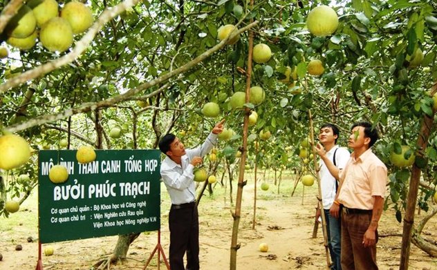 M Okking39 bảo mật cao: Đẩy mạnh chuyển đổi số trong lĩnh vực nông nghiệp