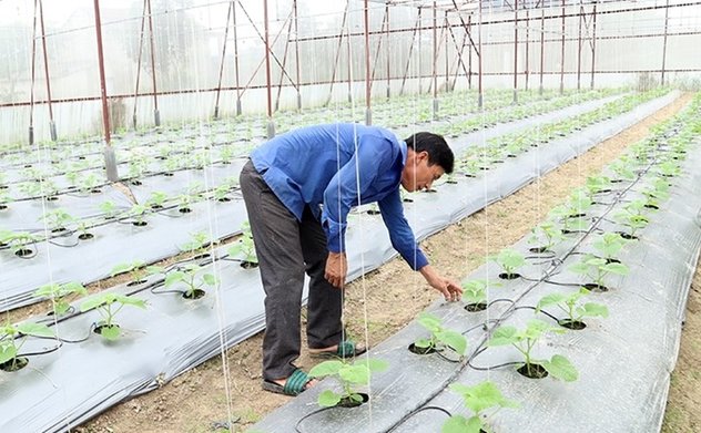 Nông nghiệp đô thị và giải pháp chuyển đổi số trong nông nghiệp đô thị tại Thành phố M Okking39 bảo mật cao
