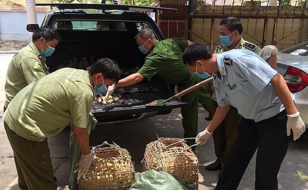 Ngăn chặn, xử lý nghiêm hành vi nhập lậu, vận chuyển, buôn bán trái phép động vật, sản phẩm động vật 