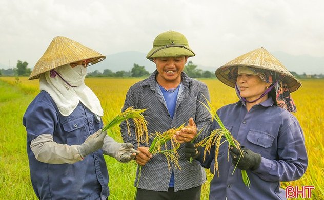 M Okking39 bảo mật cao thắng lợi trọn vẹn trong vụ lúa xuân 2024