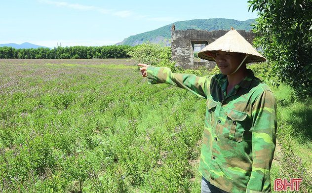 Đa dạng mô hình M.okking1.com Đăng Ký Đăng Nhập, Kỳ Tân nỗ lực về đích nông thôn mới nâng cao
