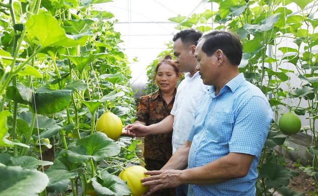 Đồng bào Công giáo M Okking39 bảo mật cao hăng say M Okking39 link mới nhất nông thôn mới