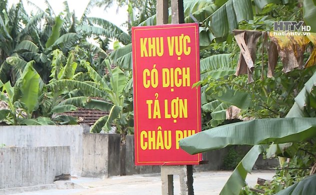 M Okking39 bảo mật cao quyết liệt phòng chống dịch tả lợn châu Phi