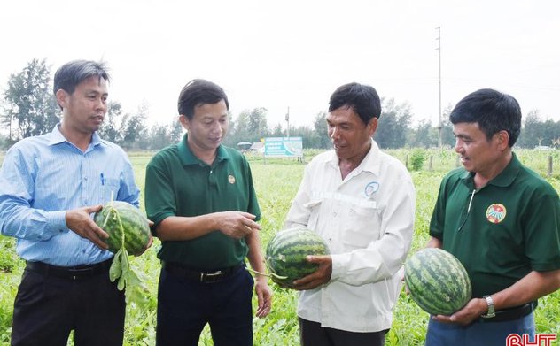 Tiêu chí thu nhập - điểm nhấn trong M Okking39 link mới nhất nông thôn mới ở Lộc Hà