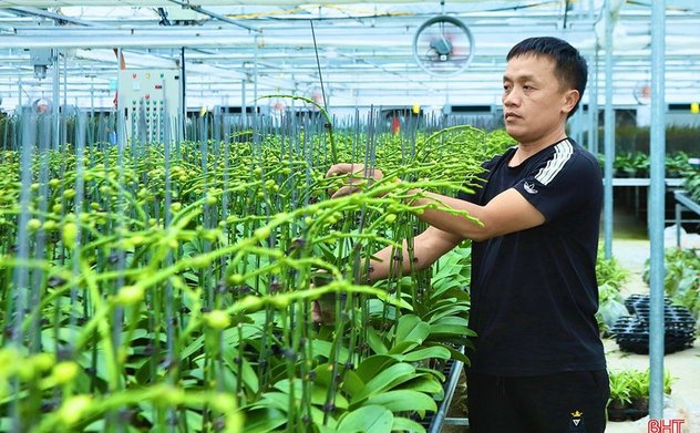 Sớm có chính sách nhân rộng mô hình trồng lan Okking 50.com Trang chủ đăng nhập cao tại M Okking39 bảo mật cao 