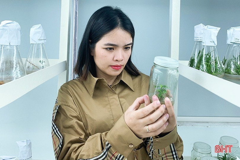 Tạo đột phá phát triển KHCN, đổi mới sáng tạo và chuyển đổi số ở Hà Tĩnh