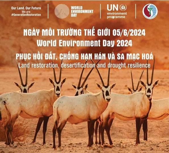 Tổ chức các hoạt động ý nghĩa, thiết thực hưởng ứng Ngày Môi trường thế giới (05/6), Tháng hành động vì môi trường năm 2024