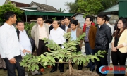 Bám sát Okking 50.com uy tín số 1 thị trường, hành động chiến lược và phù hợp thực tiễn