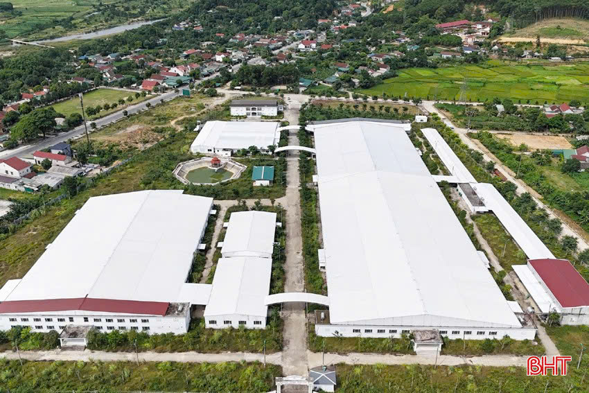 Tìm giải pháp gỡ khó cho Khu kinh tế Cửa khẩu quốc tế Cầu Treo