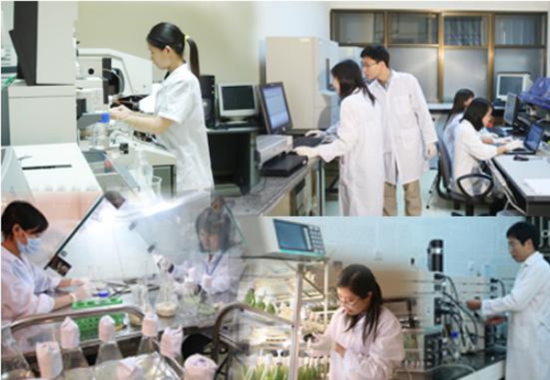 Trách nhiệm người đứng đầu trong triển khai nhiệm vụ phát triển KHCN, chuyển đổi số của cơ quan, tổ chức Trách nhiệm người đứng đầu trong triển khai nhiệm vụ phát triển KHCN, chuyển đổi số của cơ quan, tổ chức