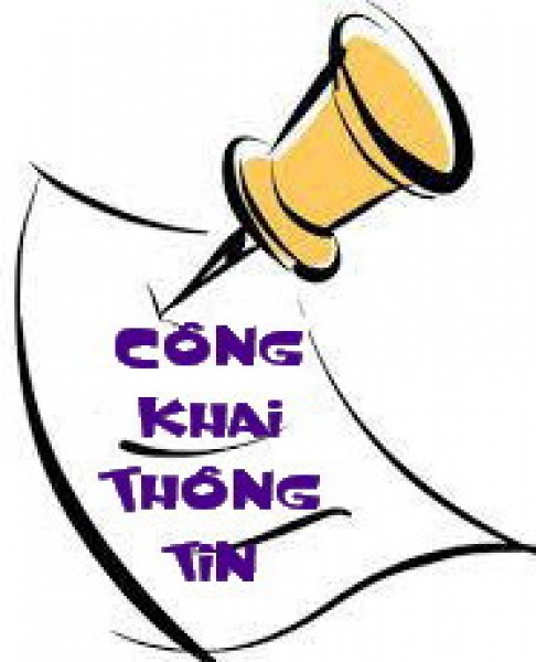 Tình hình thực hiện dự toán ngân sách năm 2018; Phương án phân bổ dự toán thu, chi ngân sách năm 2019
