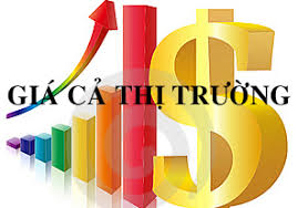 Báo cáo giá thị trường tháng 8/2021